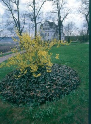 Dornburg. Dornburger Schlösser. Rokoko-Schloss (Goetheschloss) (Neubau 1747; G. H. Krohne)