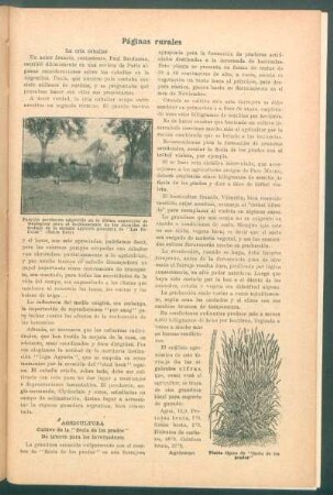 Páginas rurales