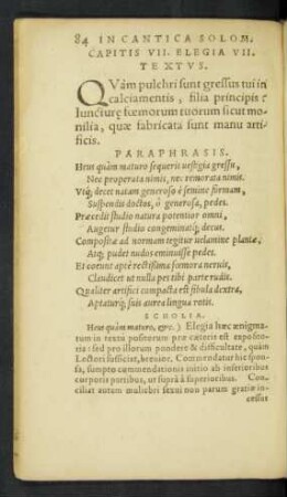 Capitis VII. Elegia VII. Textus.