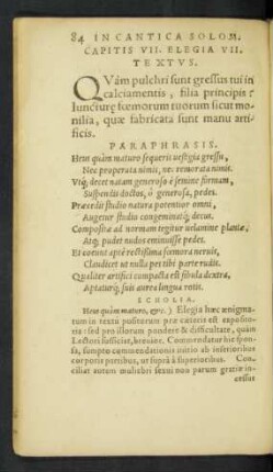 Capitis VII. Elegia VII. Textus.