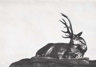 Liegender Hirsch