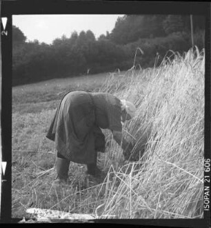 Traditionelle Landwirtschaft