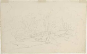 Waldlandschaft