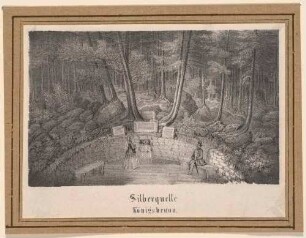 Die Quelle Silberquelle am Heilbad Königsbrunn im Bielatal südlich von Königstein in der Sächsischen Schweiz