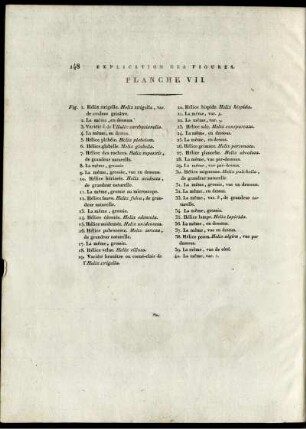Explication des Figures. Planche VII.