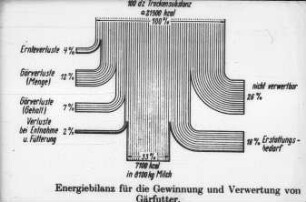 Energiebilanz für die Gewinnung und Verwertung von Gärfutter