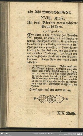 XVIII. Klasse. In viel Bündel verwachsene Staubfäden
