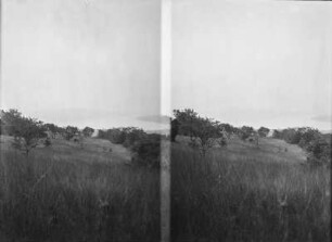 Stereoskopie : Stereoskopie einer Landschaft und eines Gewässers von einer Anhöhe aufgenommen
