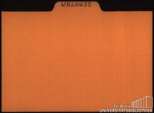 WALNUSS