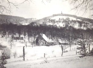 Blick auf das Hermannsdenkmal. Detmold. Hiddesen