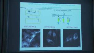The RAB6 GTPase, a master regulator of post-Golgi trafficking pathways