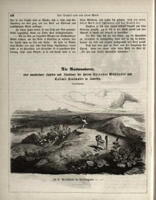 "Die Auswanderer, oder wunderbare Fahrten und Abenteuer der Herren Barnabas Wühlhuber und Casimir Heulmaier in Amerika"