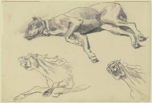 Studienblatt: Die Dogge Cäsar, auf der Seite liegend nach links, schlafend; darunter zwei Pferdestudien in starker Untersicht