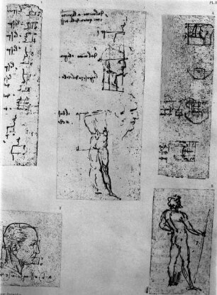 Männliche Proportionsstudien: 12304 recto (Details), 12606, 12718 recto