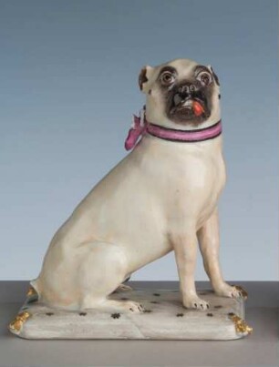 Mops auf Kissen