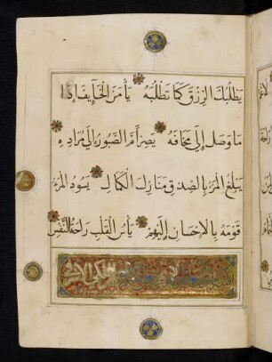 Buchschmuck: f. 16r-16v