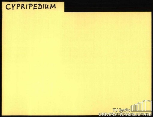 CYPRIPEDIUM: Allgemein