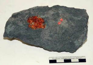 Essener Grünsand mit fossilem Harz (Bernstein)