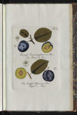 Tab. 184