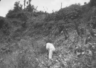 Am Berghang : Berghang mit Vegetation. Im Vordergrund ein Mann
