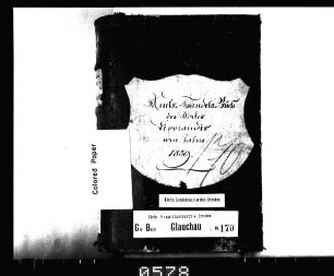 Gerichtshandelsbuch von Lipprandis, Bd. 4