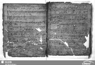 Anonymus: Halleluja danket dem Herrn denn er ist freundlich