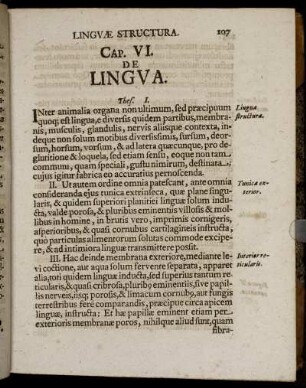 Cap. VI. De Lingua.