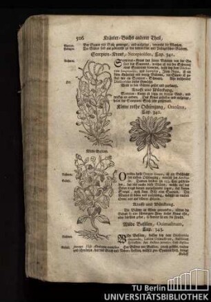 Cap. 341. Scorpion-Kraut, Scorpioides.