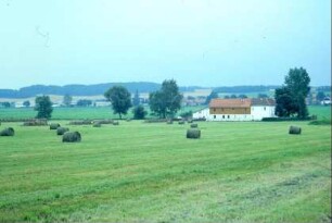 Blick über Wiese zum Ort