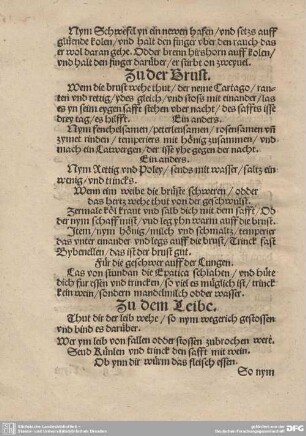 Zu der Brust.