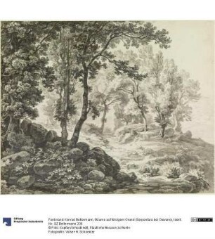 Bäume auf felsigem Grund (Serpentara bei Olevano)