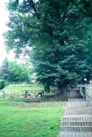 Friedhof, Teilansicht