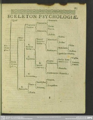 Sceleton Psychologiae