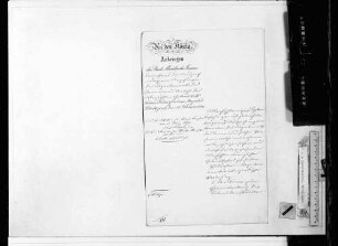 Heiratsgesuche, Sterbefälle, Verleihungen von Titeln und Auszeichnungen (1890-1891)