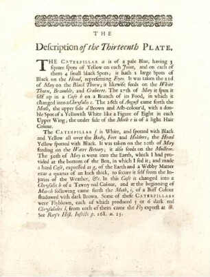 The Description of the Thirteenth Plate