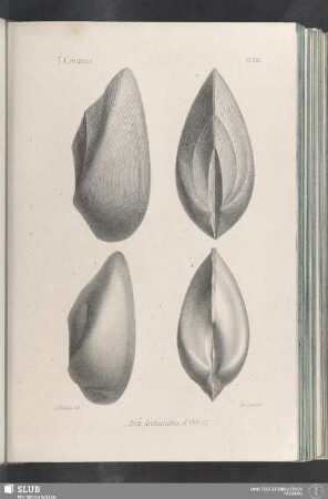 Pl. 322