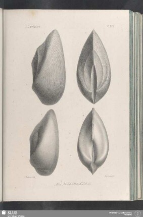 Pl. 322