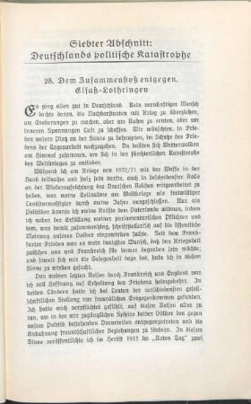 Siebter Abschnitt: Deutschlands politische Katastrophe