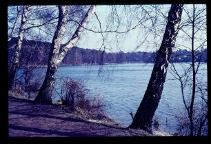 Schlachtensee 26.3.67.