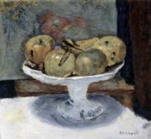 Die Fruchtschale