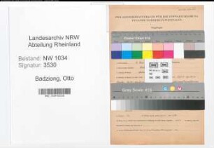 Entnazifizierung Otto Badziong , geb. 04.06.1913 (Oberfeldwebel)