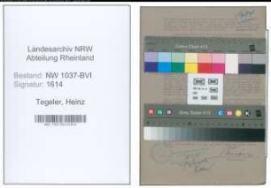 Entnazifizierung Heinz Tegeler , geb. 31.01.1914 (Angestellter)
