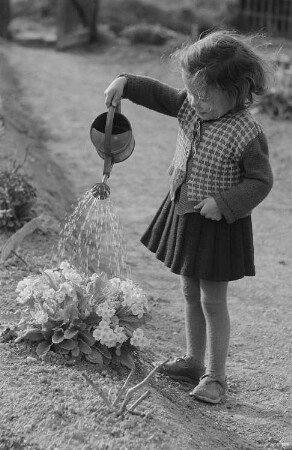 Ein kleines Mädchen gießt Blumen