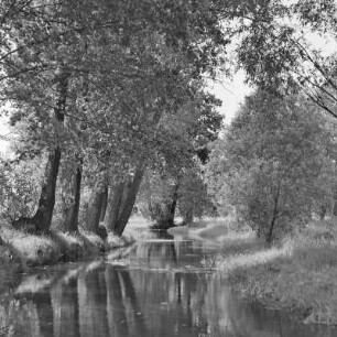 Landschaftsbild. Trotzkefließ in Leipe. : Wobraz krajiny. Groble w Lipjem.