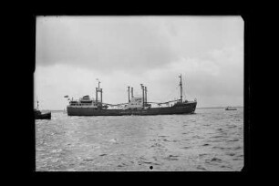 Catherine Sartori (1954), Frachtschiff, Sartori & Berger, Kiel, Bau-Nr. 570