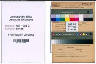 Entnazifizierung Johanna Frielingsdorf, geb. 09.01.1903 (Kauffrau)