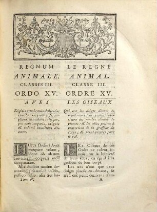 Ornithologie Ou Méthode Contenant La Division Des Oiseaux En Ordres, Sections, Genres, Especes & leurs Variétés : A Laquelle On A Joint Une Description exacte de chaque Espece, avec les Citations des Auteurs qui en ont traité ..., 5