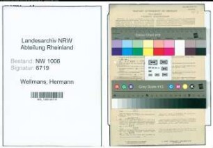Entnazifizierung Hermann Wellmans , geb. 03.04.1899 (Kaufmann)