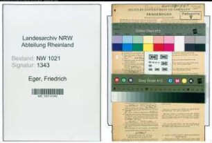 Entnazifizierung Friedrich Eger , geb. 31.07.1897 (Ingenieur)
