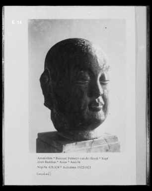 Kopf eines Buddhas